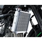 Kawasaki Kawasaki радиатор экран Ninja ZX-25R SE KRT EDITION KAWASAKI сердцивина радиатора a защита * маслоохладитель core защита охлаждающий относящийся двигатель 