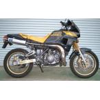 PRO SKILL Pro умение камера TDR250 YAMAHA Yamaha muffler 