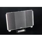 ETCHING FACTORY искусство гравировки Factory радиатор core защита цвет : нержавеющая сталь фундамент Z900RS KAWASAKI Kawasaki охлаждающий относящийся двигатель 