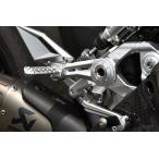 MOTO CORSE MOTO CORSE: Moto Corse CNC billet регулируемый lai DIN g подножка комплект цвет : серебряный 