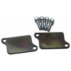 Motor Rock motor блокировка AIS отмена plate W650 W400 W800 KAWASAKI Kawasaki 2 следующий воздушный отмена комплект *AIS отмена комплект двигатель детали 