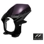 バイクパーツセンター ビキニカウル ボルトセット カウル関連 外装