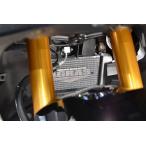 AGRAS Agras core защита модель :B модель |AGRAS Logo нет YZF-R15 YZF-R125 YAMAHA Yamaha сердцивина радиатора a защита * маслоохладитель core защита охлаждающий относящийся 