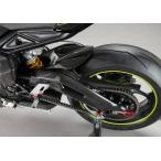 LighTechlai Tec качающийся рычаг Swing Arm протектор STREET TRIPLE 765 S R RS TRIUMPH Triumph качающийся рычаг Swing Arm покрытие * протектор экстерьер 