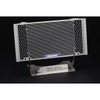 ETCHING FACTORY искусство гравировки Factory маслоохладитель защита цвет : серебряный R12 nineT BMW сердцивина радиатора a защита * маслоохладитель core защита охлаждающий относящийся 