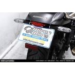 WirusWin WirusWin без крыла комплект Eliminator 400 KAWASAKI Kawasaki крыло относящийся экстерьер 