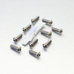 PRO BOLT プロボルト ディスクボルト 