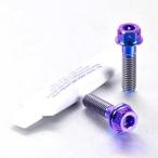 PRO BOLT プロボルト リアブレーキキ