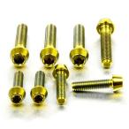 PRO BOLT プロボルト ブレーキ＆クラ
