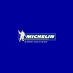 MICHELIN Michelin для дороги камера AR80 1984 KAWASAKI Kawasaki шина камера прочее шина относящийся сопутствующие товары 