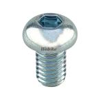 G-Craft ジークラフト キャップボルト M6-10 CHALY [シャリー] ダックス モンキー モンキーR HONDA ホンダ 汎用ボルト・ネジ