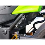 BABYFACE baby лицо рейсинг крюк цвет : Gold Z250 Ninja 250 Ninja 250R KAWASAKI Kawasaki рейсинг крюк * крепежный крюк экстерьер 