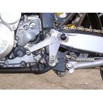 K&amp;Tke Ian do чай гоночная подножка комплект цвет : серебряный анодированный алюминий specification D-TRACKER [D Tracker ] KAWASAKI Kawasaki задняя подножка подножка 