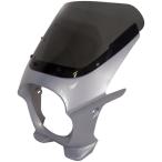 World Walk world walk универсальный обтекатель с экраном DS-01 [R модель ] цвет : цифровой серебряно-металлический / экран цвет : затонированный обтекатель с экраном экстерьер 
