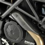 de LIGHT de LIGHT:ディライト エキゾーストパイプヒートプロテクション 素材：平織りカーボン DIAVEL [ディアベル] DUCATI ドゥカティ