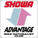 ADVANTAGE Ad Vantage Ad Vantage * шоу wa стикер ( задняя подвеска для ) стикер * переводная картинка экстерьер 