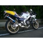DOGFIGHT RACING собака fai трейсинг DFR камера NSR250R HONDA Honda muffler 