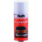 Holts ho rutsu цинк plate спрей антикоррозийный * ржавчина брать . Chemical Chemical 