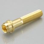 K-CON キタココンビニパーツ ビビットボルト M10（24K） 長さ：25mm(全ネジ) 汎用ボルト・ネジ