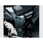 SUZUKI SUZUKI: Suzuki frame cover color : carbon style GSX1300R Hayabusa ( Hayabusa )