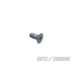 GUTS CHROME ガッツクローム XL用　インスペクションカバースクリュー SPORTSTERファミリー