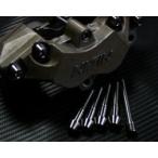 TITANIUM64 титан rokjuuyon тормозные накладки булавка * суппорт Bridge комплект болтов HORNET250 [ Hornet ] HONDA Honda тормоз 