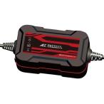 AZ Battery AZ аккумулятор ACH-100 зарядное устройство для аккумулятора аккумулятор зарядное устройство * зарядное устройство для аккумулятора аккумулятор относящийся 