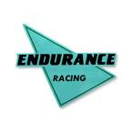 ENDURANCE Endurance наклейка-логотип стикер * переводная картинка экстерьер 