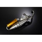  мотоцикл детали центральный евро камера цвет : золотой Live Dio ZX HONDA Honda камера muffler 
