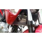 AGRAS Agras core защита A модель :AGRAS Logo есть GSR250 SUZUKI Suzuki сердцивина радиатора a защита * маслоохладитель core защита охлаждающий относящийся двигатель 