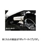 WirusWin ウイルズウィン サイレンサ