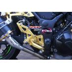 RSV racing RSV racing:アールエスブイレーシング バックステップ 可変タイプ NINJA250-13/NINJA300用 カラー：blue Ninja250-13 Ninja300 2013-2016