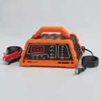  большой . промышленность oo - si солнечный gyou12V аккумулятор специальный зарядное устройство ACE CHARGER 10A аккумулятор зарядное устройство * зарядное устройство для аккумулятора аккумулятор относящийся 