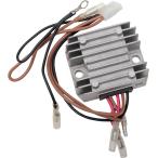 RICK’S MOTORSPORT ELECTRIC リックズモー