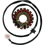 RICK*S MOTORSPORT ELECTRIClikz Motor Sport электрический статор SUZ [2112-0310] GS500F 2003 - 2009 GS500K 2001 2002 SUZUKI Suzuki 