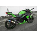 WR*S RR z задний выхлоп slip-on глушитель глушитель : жарение цвет Ninja250 Z250 KAWASAKI Kawasaki muffler 