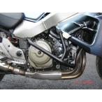 RDmoto �A�[���f�B�[���g �N���b�V���t���[���yCrash frames�z X11 - Eleven HONDA �z���_ �G���W���K�[�h �t���[��