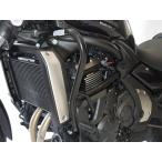 RDmotoa- Rudy - Moto авария рама защита двигателя [Crash frames] VN 650 Vulcan KAWASAKI Kawasaki защита двигателя рама 