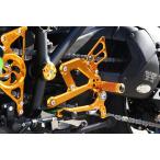 BABYFACE baby лицо подножка комплект цвет : Gold Ninja H2 SX KAWASAKI Kawasaki задняя подножка подножка подвеска 