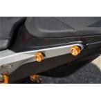 BABYFACE baby лицо Carry крюк цвет : Gold 790DUKE KTM touring крюк 
