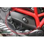 CARBONVANI машина Bomber ni резервуар покрытие прозрачный покраска : глянец нет MAT MONSTER 1200 821 DUCATI Ducati тормоз 