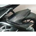 TSR テクニカルスポーツレーシング カーボンリアフェンダー CBR1000RR-R HONDA ホンダ