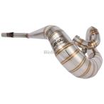 PRO SKILL Pro умение камера камера материалы : нержавеющая сталь RMX250S SUZUKI Suzuki muffler 