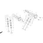 HRC H a-rusi- клапан(лампа) внешний springs NSF250R HONDA Honda клапанная пружина двигатель детали двигатель 