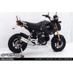 WirusWin WirusWin slip-on глушитель модель : евро модель / глушитель опция : нет Glo mMSX125 HONDA Honda muffler 