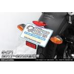 WirusWin WirusWin без крыла комплект модель 1 Rebel 250 Rebel 500 HONDA Honda крыло относящийся экстерьер 