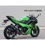 WR*S RR zSS-OVAL slip-on глушитель модель :F-BLACK модель Z250 Z400 KAWASAKI Kawasaki muffler 