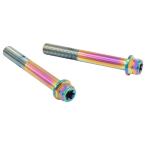 PLOT Pro to Pro to Brembo нержавеющая сталь суппорт крепление болт цвет : titanium цвет суппорт болт * крепление болт тормоз 