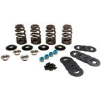 FEULINGf.-e кольцо Ekono Be высокий b springs комплект titanium держатель EVO* twincam большой twin XL Buell клапанная пружина двигатель детали 