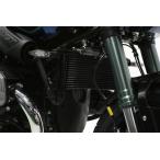 ACTIVE オイルクーラーキット ラウンドタイプ 11インチ16段 R nineT (14-24)